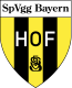 Scores SpVgg Bayern Hof
