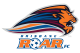 Scores Brisbane Roar FC
