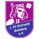 Scores FC Eintracht Bamberg