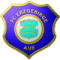 Scores FC Erzgebirge Aue