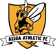 Scores Alloa Athletic