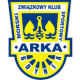 Scores Arka Gdynia