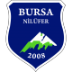 Scores Bursa Niluferspor