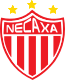 Scores Necaxa