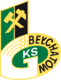 Scores GKS Belchatów U19