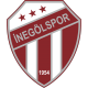 Scores Inegolspor