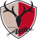 Scores Kashima Antlers