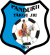 Scores Pandurii