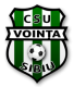 Scores Vointa Sibiu